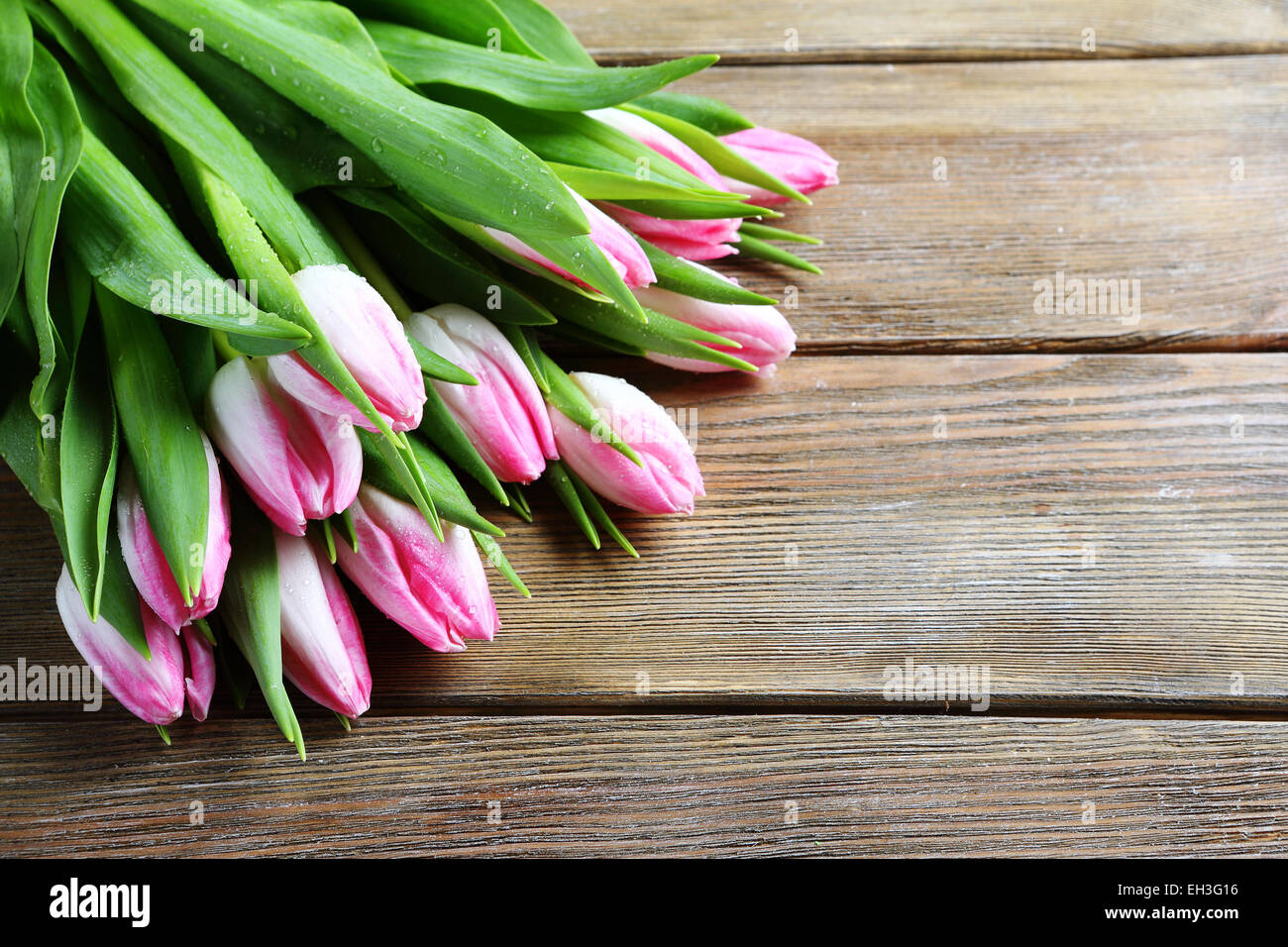 frische Tulpen auf Brettern, Blumen Stockfoto