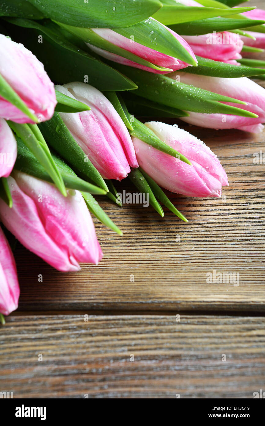 frische Blumen Closeup, Tulpen auf Brettern Stockfoto