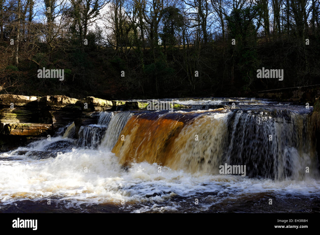 Schnell fließende Wasser über die Richmond fällt, Swaledale, Yorkshire, England Stockfoto
