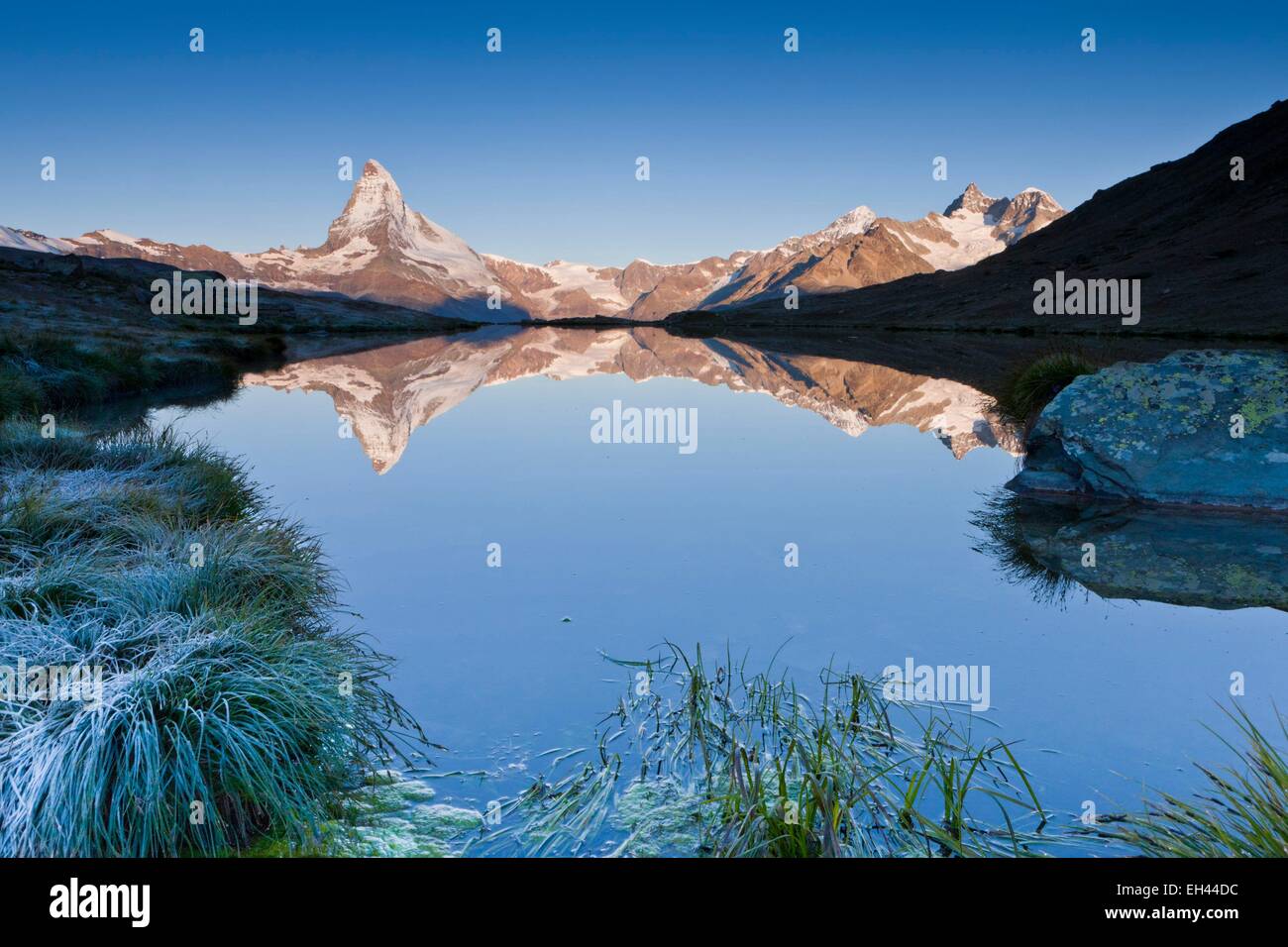 Schweiz, Kanton Wallis, Zermatt, das Matterhorn (4478m) vom See Stellisee Stockfoto