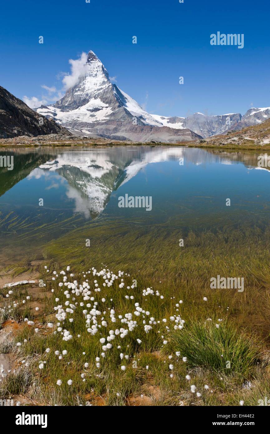 Schweiz, Kanton Wallis, Zermatt, das Matterhorn (4478m) vom See Riffelsee Stockfoto