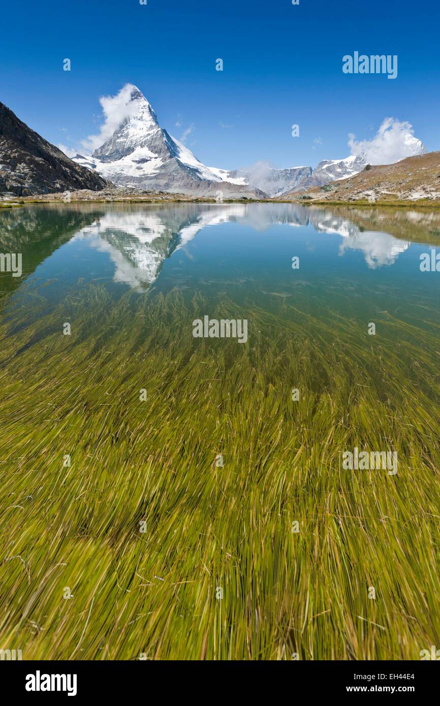 Schweiz, Kanton Wallis, Zermatt, das Matterhorn (4478m) vom See Riffelsee Stockfoto