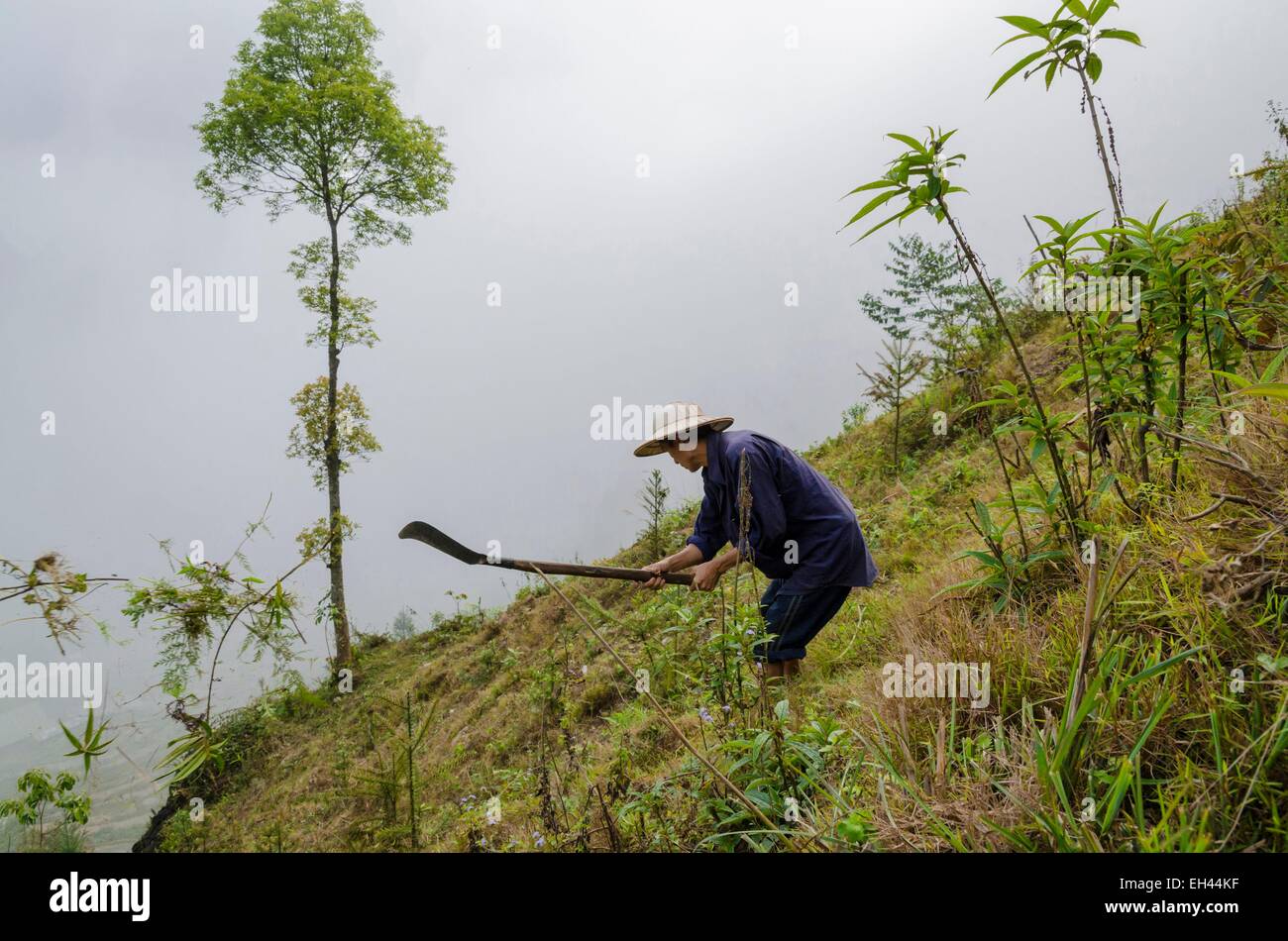 Vietnam, Lao Cai Provinz, Bac Ha, clearing ein Grundstück Stockfoto