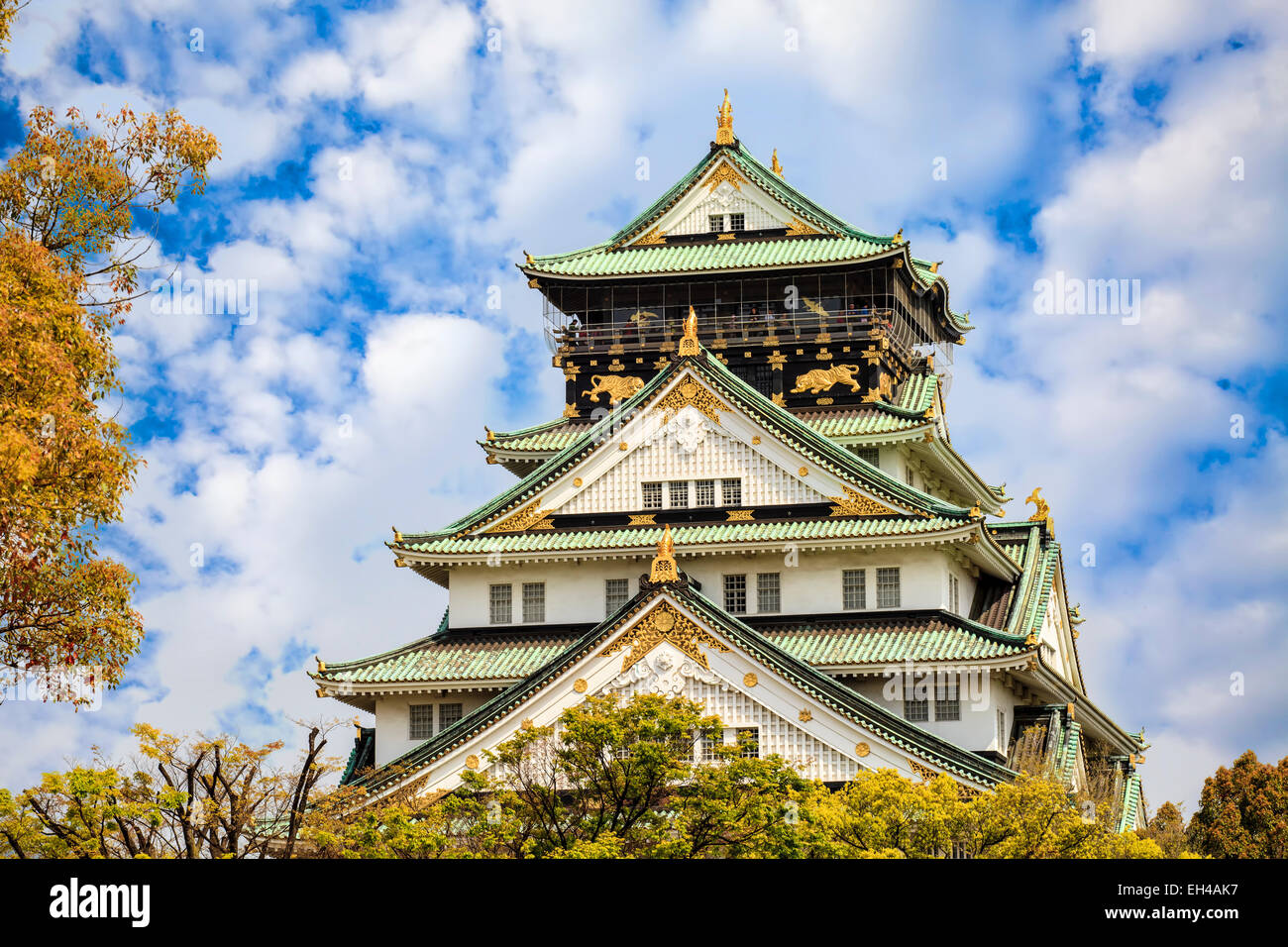 Osaka, Japan in Osaka Castle während der Kirschblüte Frühjahrssaison. Stockfoto