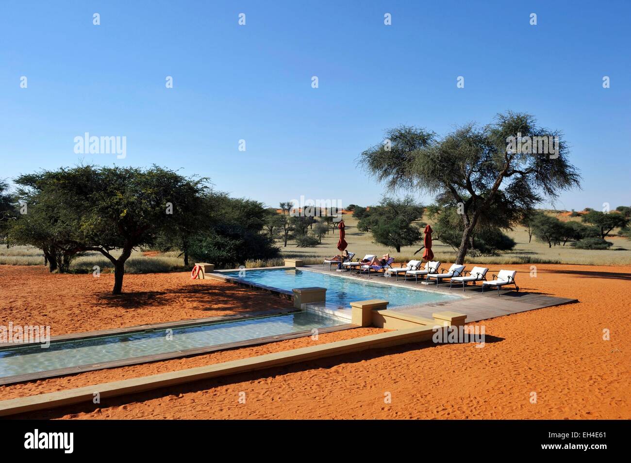 Namibia, Kalahari-Wüste, Intu Afrika Kalahari Game Reserve Stockfoto