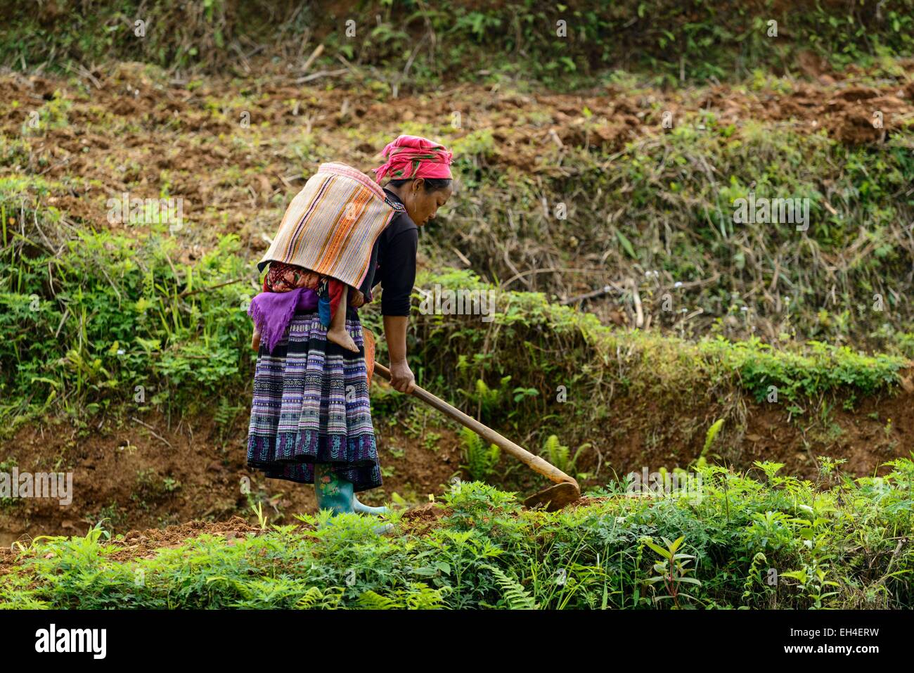 Vietnam, Lao Cai Provinz, Bac Ha, Hmong ethnische Gruppe, Frau pflügen ihr Land Stockfoto