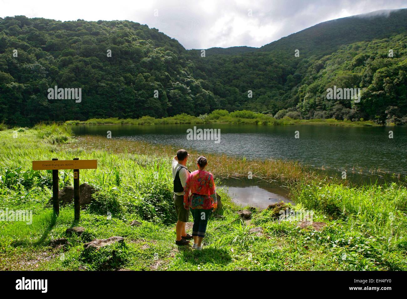 Frankreich, Guadeloupe, Basse-Terre, Guadeloupe-Nationalpark, ein UNESCO-Biosphärenreservat, der Grand Etang Stockfoto