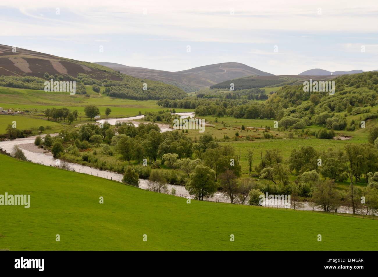 Großbritannien, Schottland, Aberdeenshire, Nationalpark Cairgorns Stockfoto