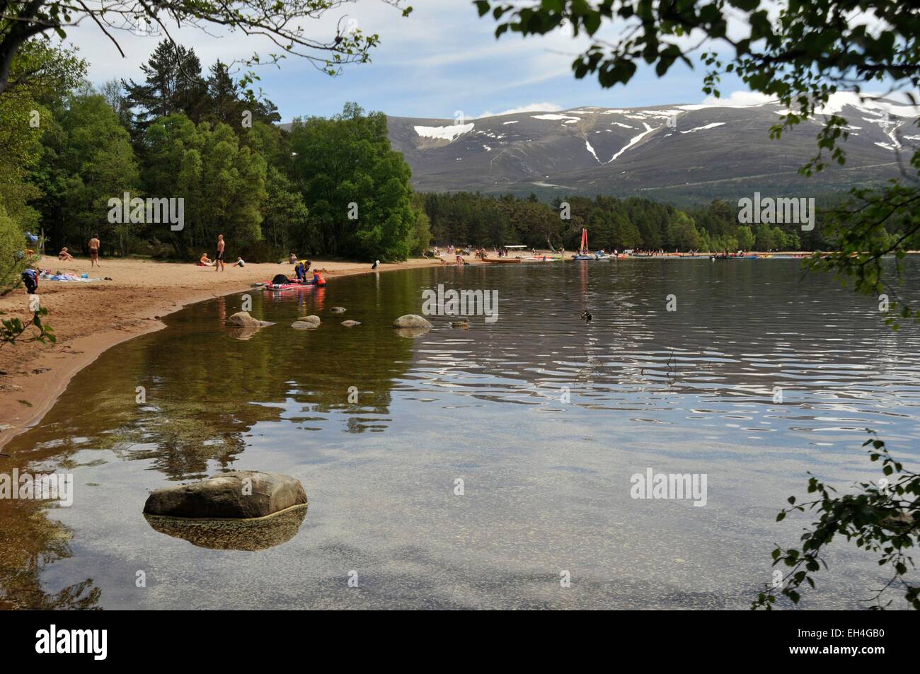 Großbritannien, Schottland, Aberdeenshire, Nationalpark Cairgorns, Loch Morlich, Forest Glen mehr, Sandstrand am See Morlich Stockfoto