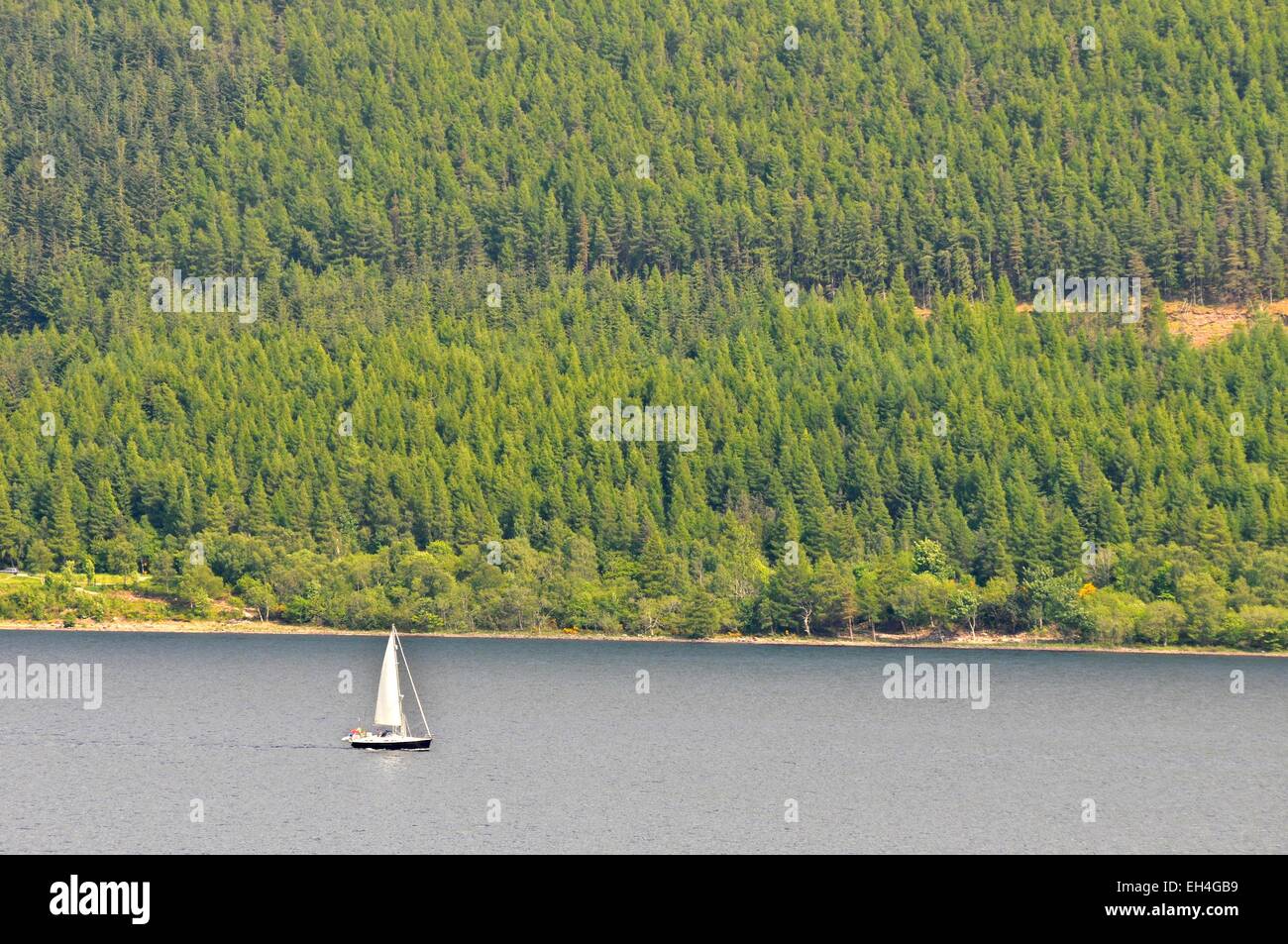 Großbritannien, Schottland, Drumnadrochit, Segeln auf dem Loch Ness Stockfoto