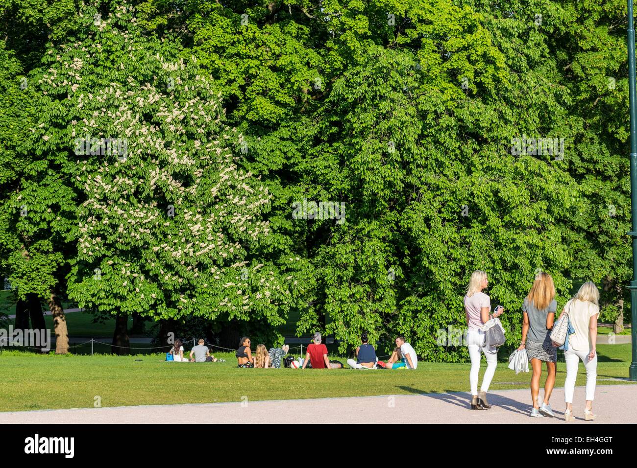 Norwegen, Oslo, Slottsbakken, Königspalast in Oslo (1848), entworfen von dem Architekten Hans Linstow ist die offizielle Residenz der königlichen Familie, zum öffentlichen Park geöffnet Stockfoto