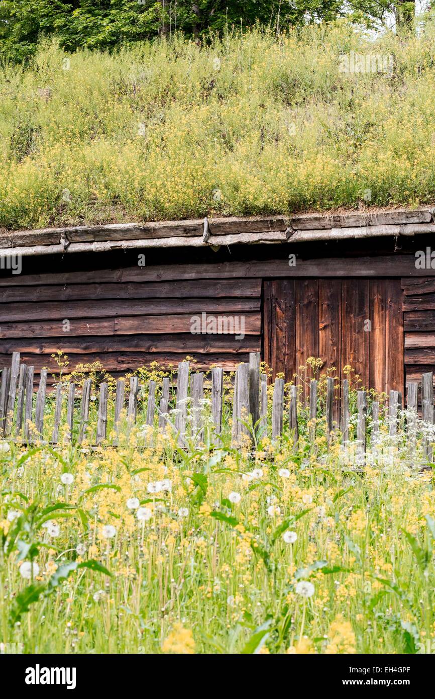 Norwegen, Oslo, Bygd ° y Halbinsel, Norwegian Folk Museum (Norsk Folkemuseum) gründete im Jahre 1894 mit 160 traditionelle Häuser in das Land, aus dem 18. Jahrhundert Haus mit Gründach Stockfoto