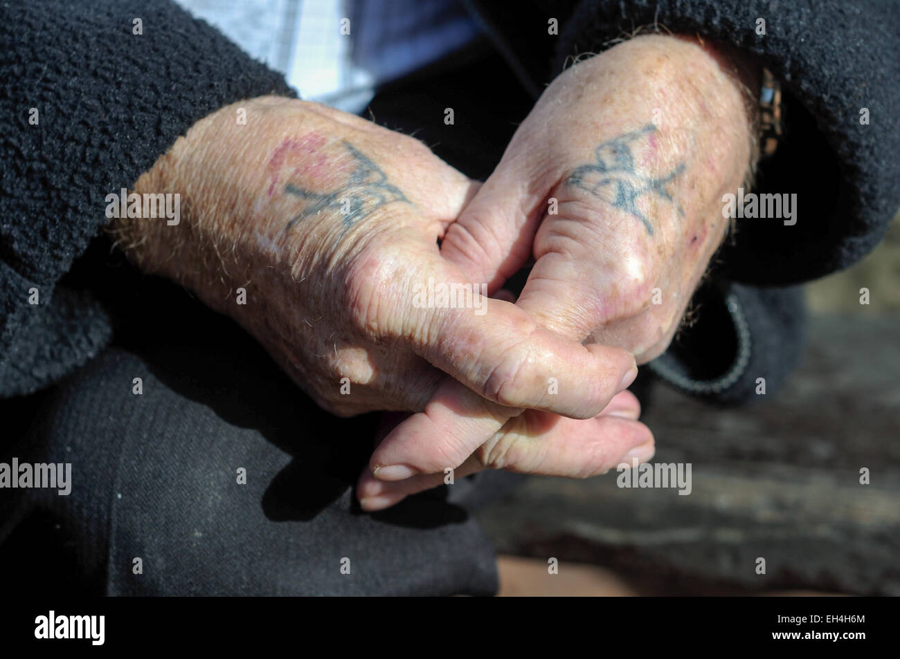 Arbeitende Hande Mit Schwalbe Tattoo Stockfotografie Alamy Arbeitende Hande Mit Schwalbe Tattoo Stockfotografie Alamy