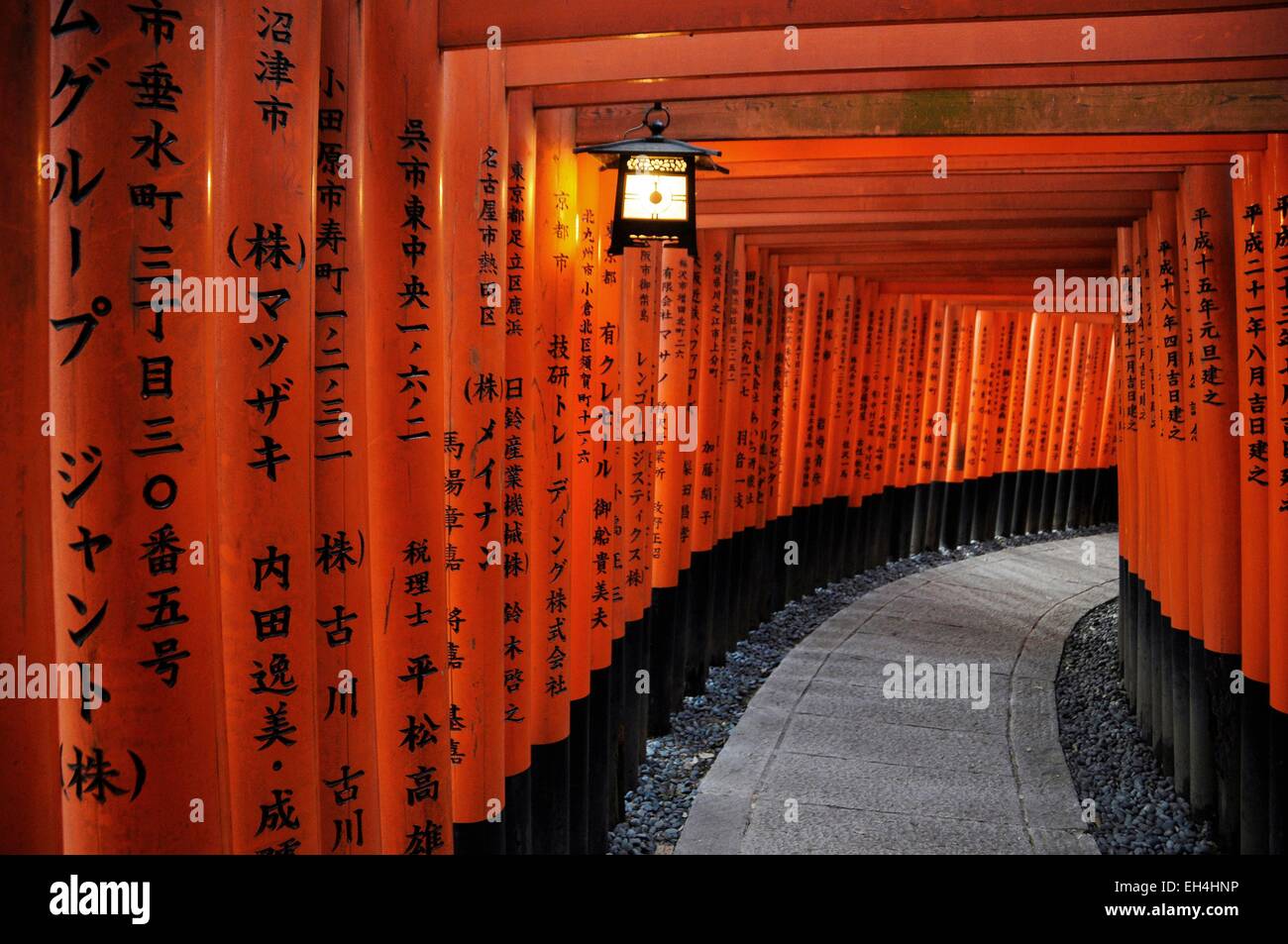 Honshu, Kinki, Kyoto, Japan, Fushimi Inari-Taisha, Tausende von Zinnober Torii-Tore in der Wallfahrtskirche Stockfoto