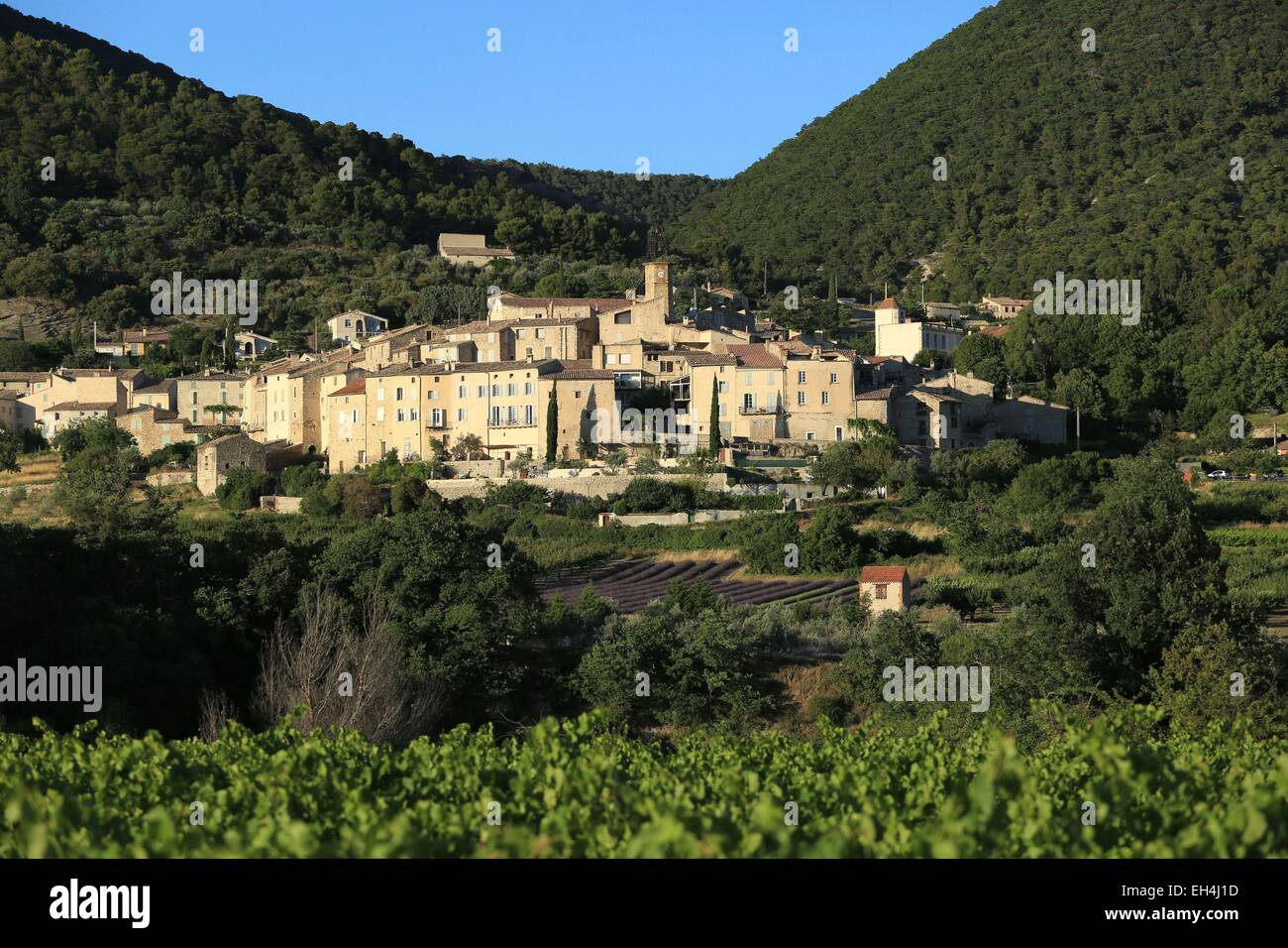 Frankreich, Drome, Rousset Les Vignes Stockfoto