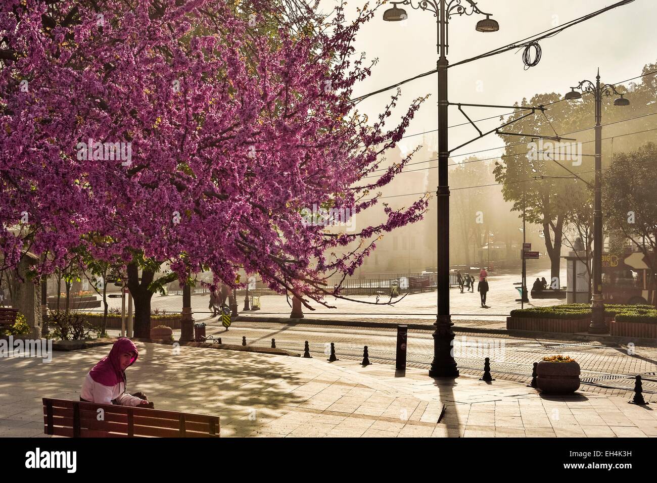 Türkei, Istanbul, Altstadt Weltkulturerbe der UNESCO, Sultanahmet-Viertel, Aya Sofya (Hagia Sophia), dem Vorplatz der Hagia Sophia im Nebel im Frühjahr Stockfoto