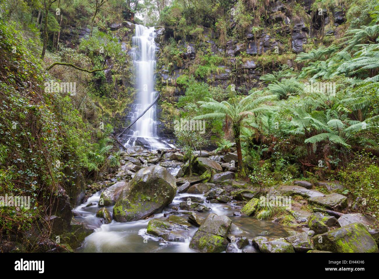 Australien, Victoria, Great Ocean Road, Great Otway National Park, Lorne, Erskine Falls Stockfoto