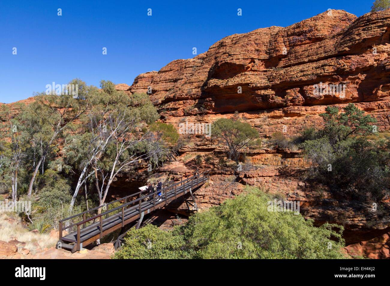 Australien, Northern Territory, Watarrka National Park, Kings Canyon Stockfoto