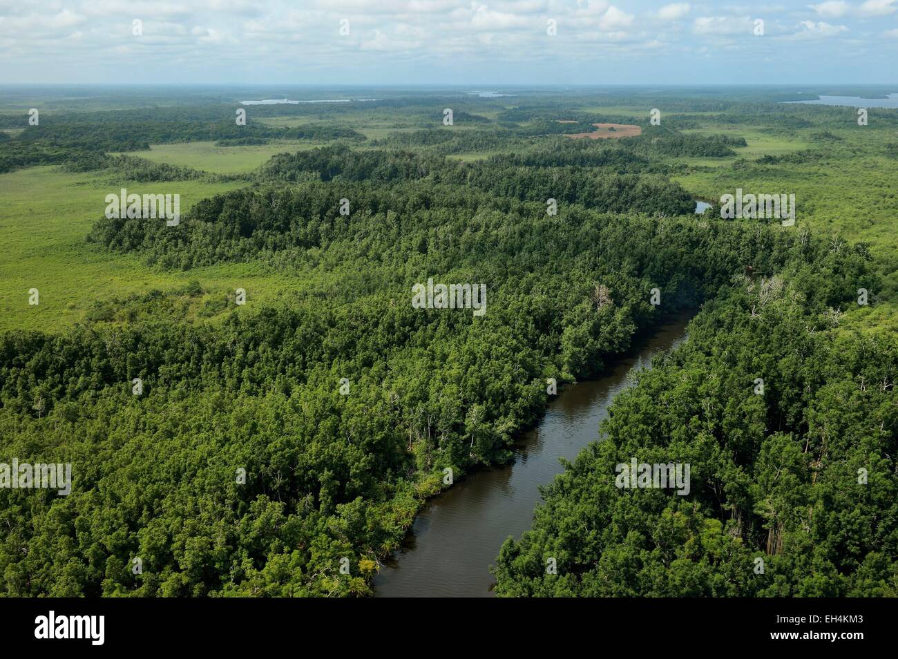 Gabun, Ogooue-Maritime Provinz, Flüsse und Wälder im Ogooué-River-Delta (Luftbild) Stockfoto