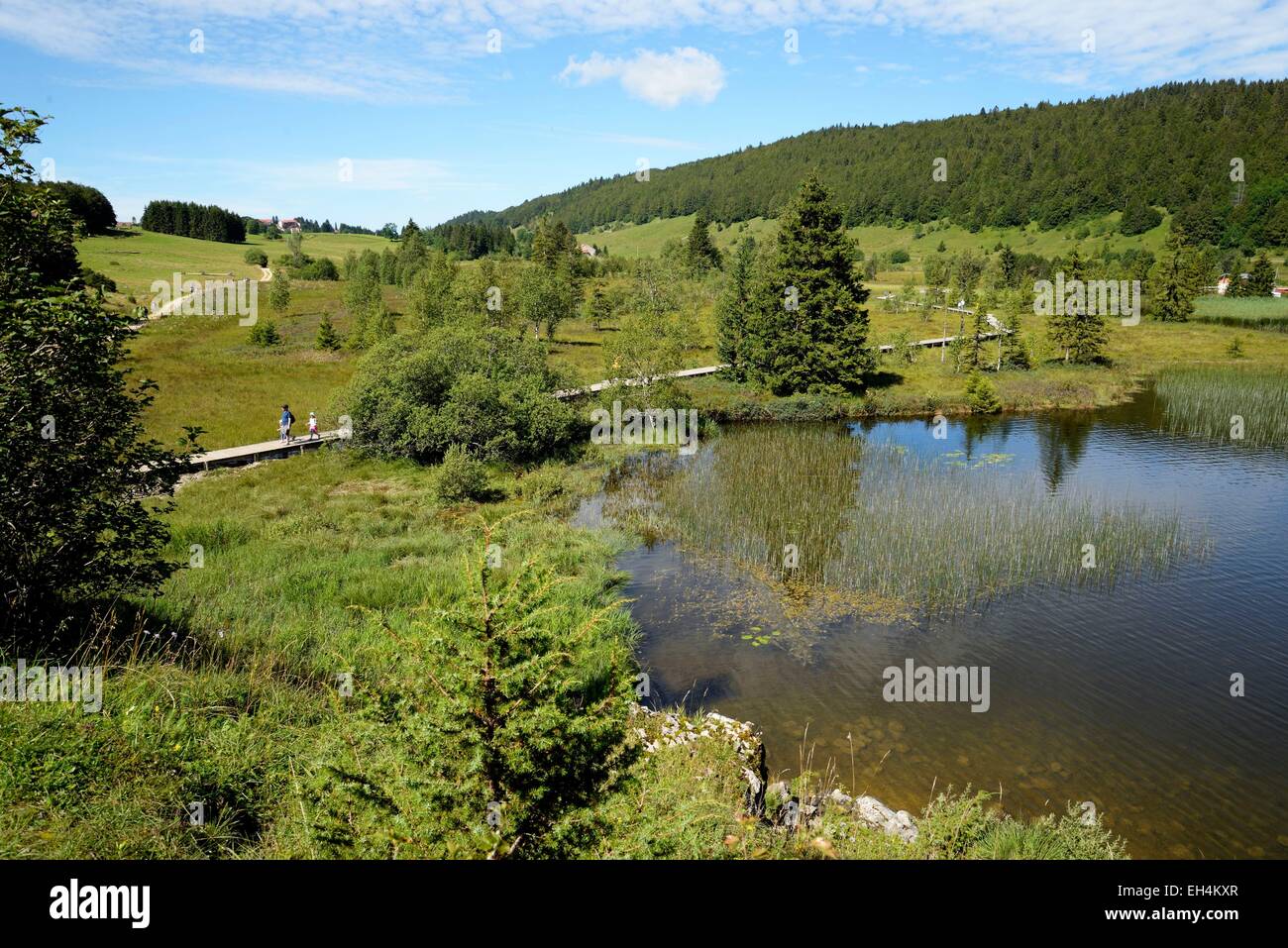 Frankreich, Jura, Les Rousses, Lac des Rousses, Moor, Naturlehrpfad Stockfoto