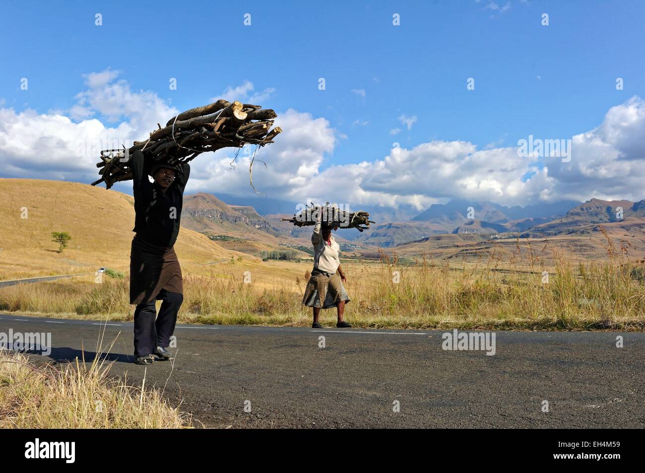 Südafrika, Kwazulu-Natal Drakensberge, uKhahlamba Park, aufgeführt als Weltkulturerbe der UNESCO, Cathedral Peak Valley, Frauen, die Holz Stockfoto