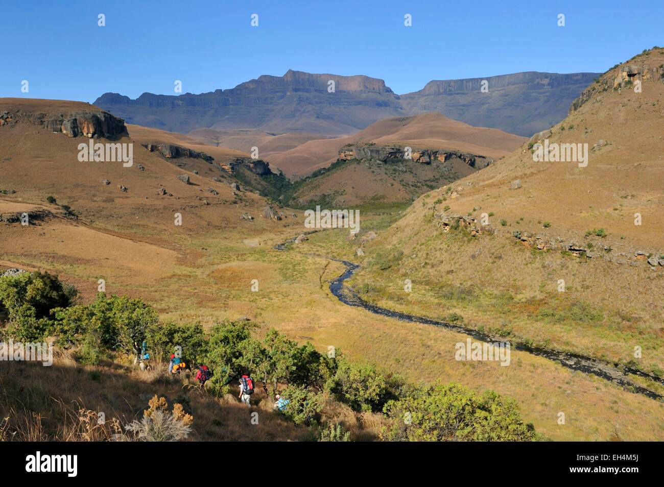 UKhahlamba Park, der als Weltkulturerbe von der UNESCO, des Riesen Castle Valley, des Riesen Schloss Berg (3315 m), Drakensberge, Kwazulu Natal, Südafrika Stockfoto