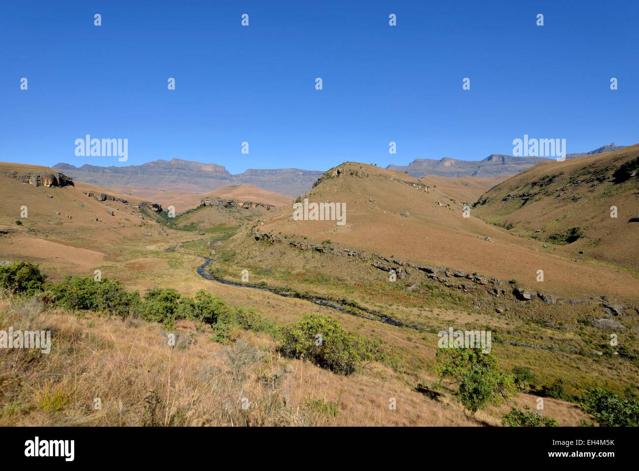 UKhahlamba Park, der als Weltkulturerbe von der UNESCO, des Riesen Castle Valley, des Riesen Schloss Berg (3315 m), Drakensberge, Kwazulu Natal, Südafrika Stockfoto