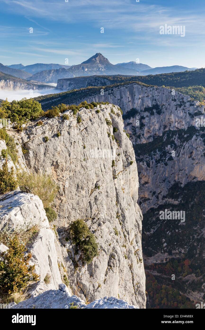 Frankreich, Alpes de Haute Provence, regionalen Naturpark Verdon, Grand Canyon du Verdon, Klippen des Barres Escalès gesehen vom Belvedere von Carelle Stockfoto