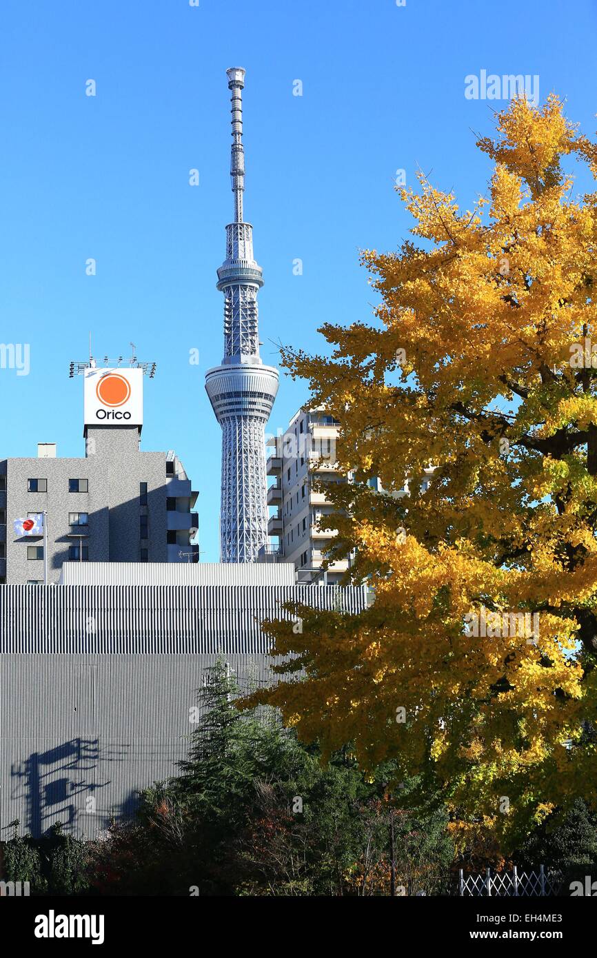 Japan, Insel Honshu, Tokyo, Taito, Asakusa Bezirk Sumida Bezirk von Tokyo Skytree Hintergrund Stockfoto