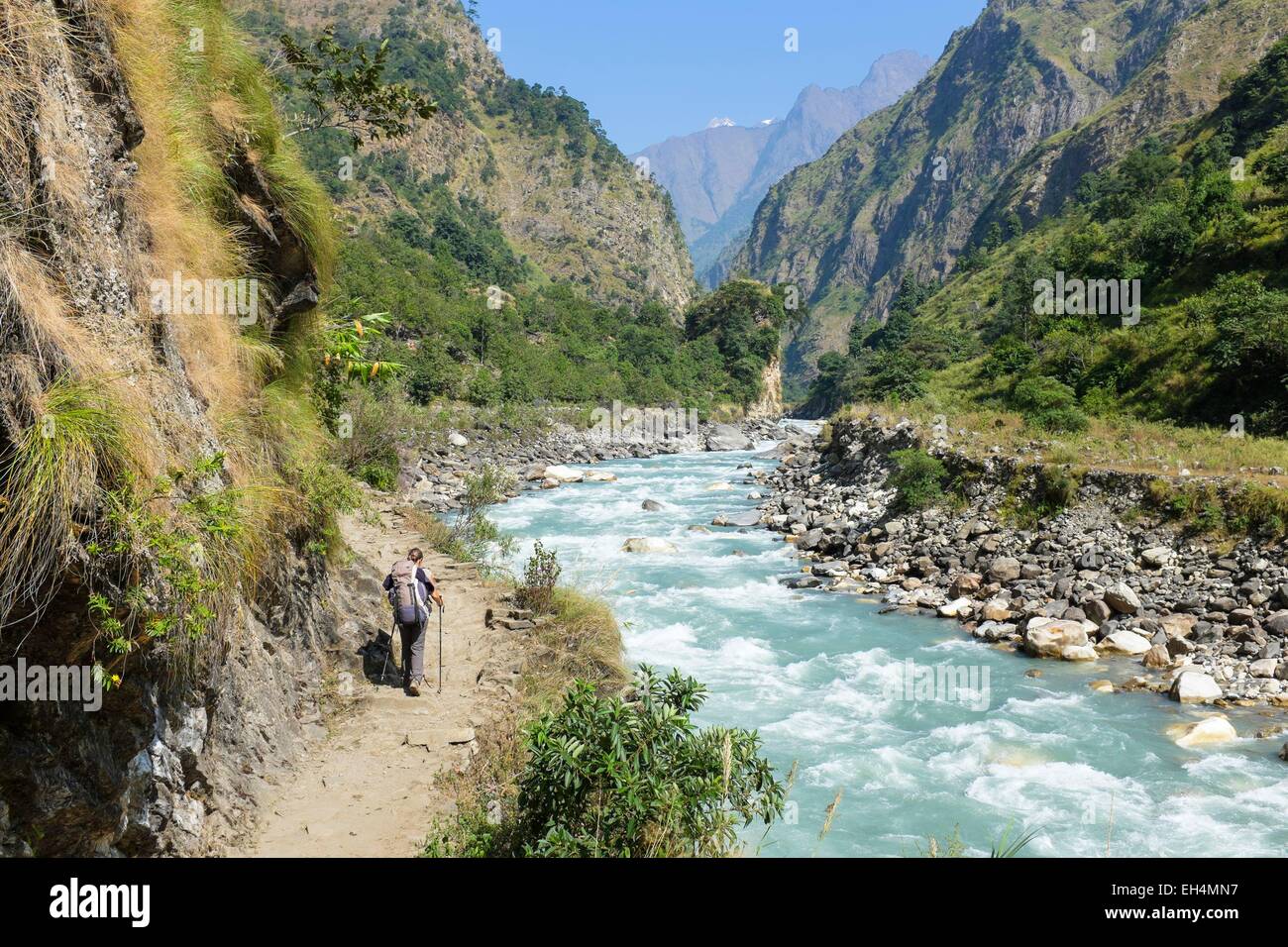 Nepal, Gandaki Zone, Manaslu Circuit, zwischen Lapubesi und Tatopani, Budhi Gandaki Fluss entlang Stockfoto