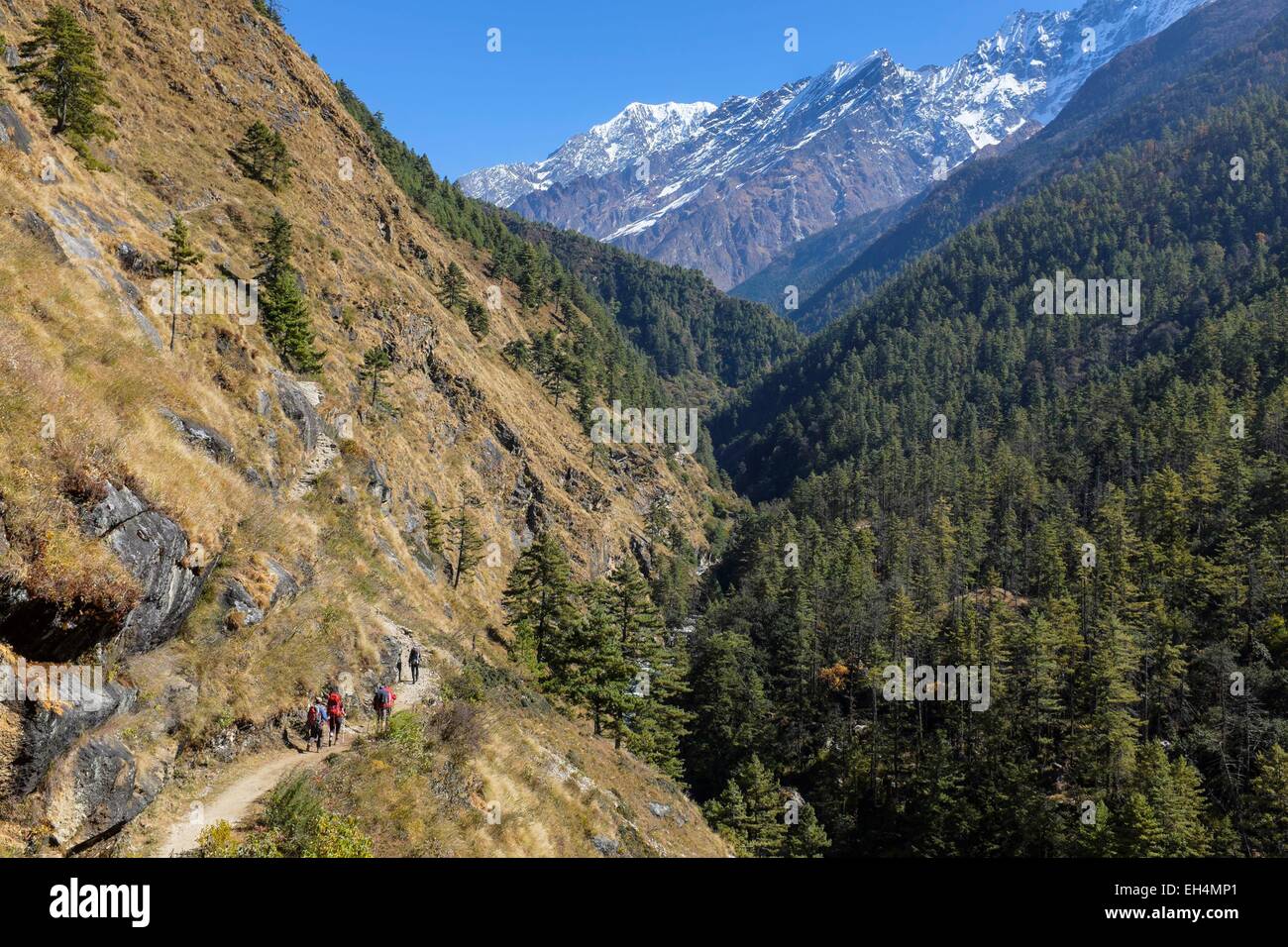 Nepal, Gandaki Zone, Tsum Valley Trek, den Weg zwischen Chumling (alt.2386m) und Chokangparo oder Chekampar (alt.3031m) Stockfoto