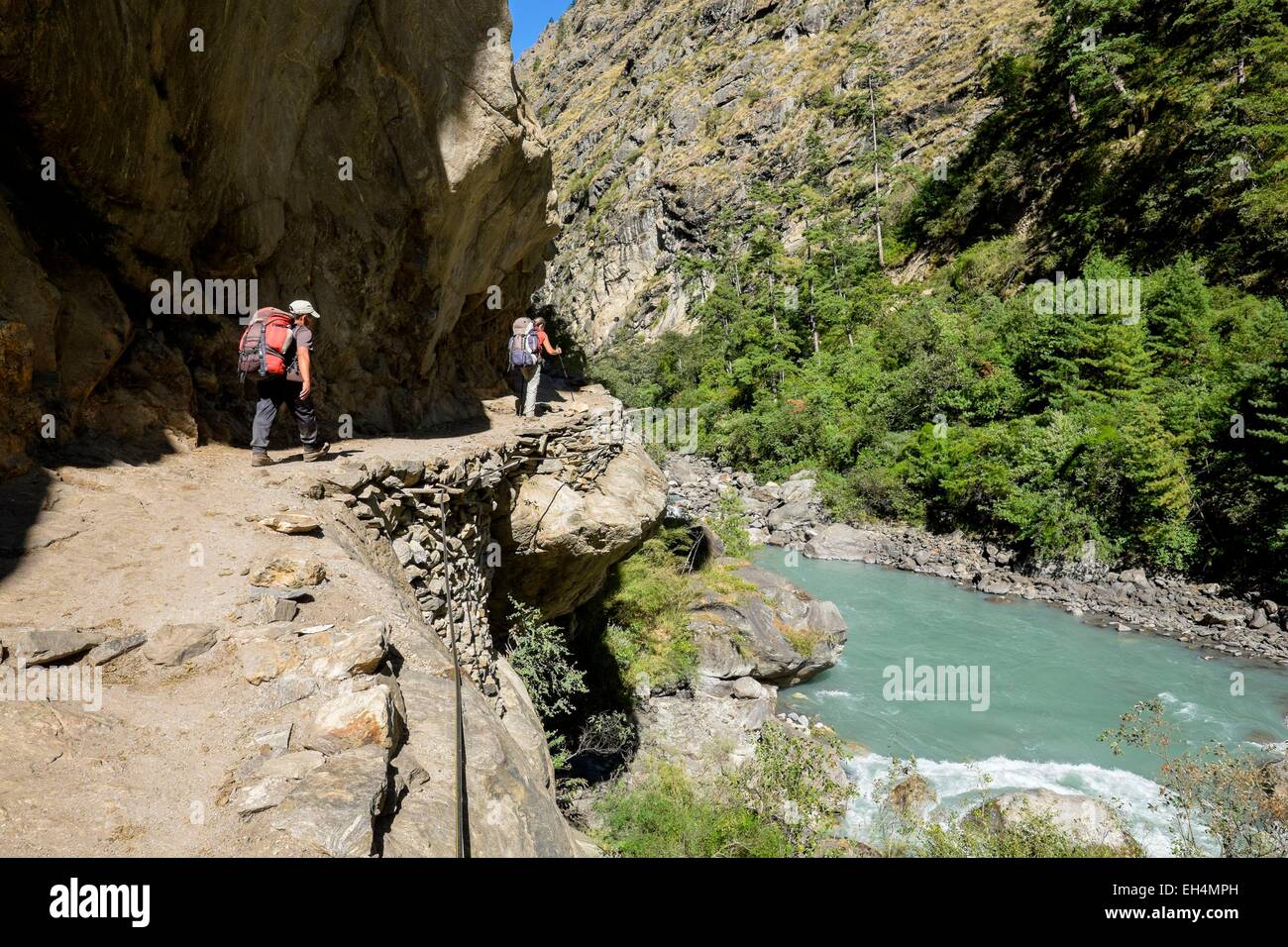 Nepal, Gandaki Zone, Manaslu Circuit, zwischen Philim und Prok, Budhi Gandaki Fluss entlang Stockfoto