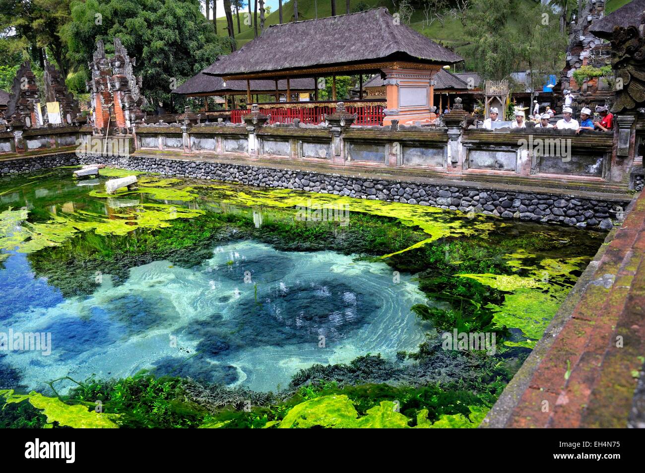 Indonesien, Bali, Nusa Tenggara, Pura Tirta Empul, Pool von Weihwasser in der Hindu-Tempel Stockfoto