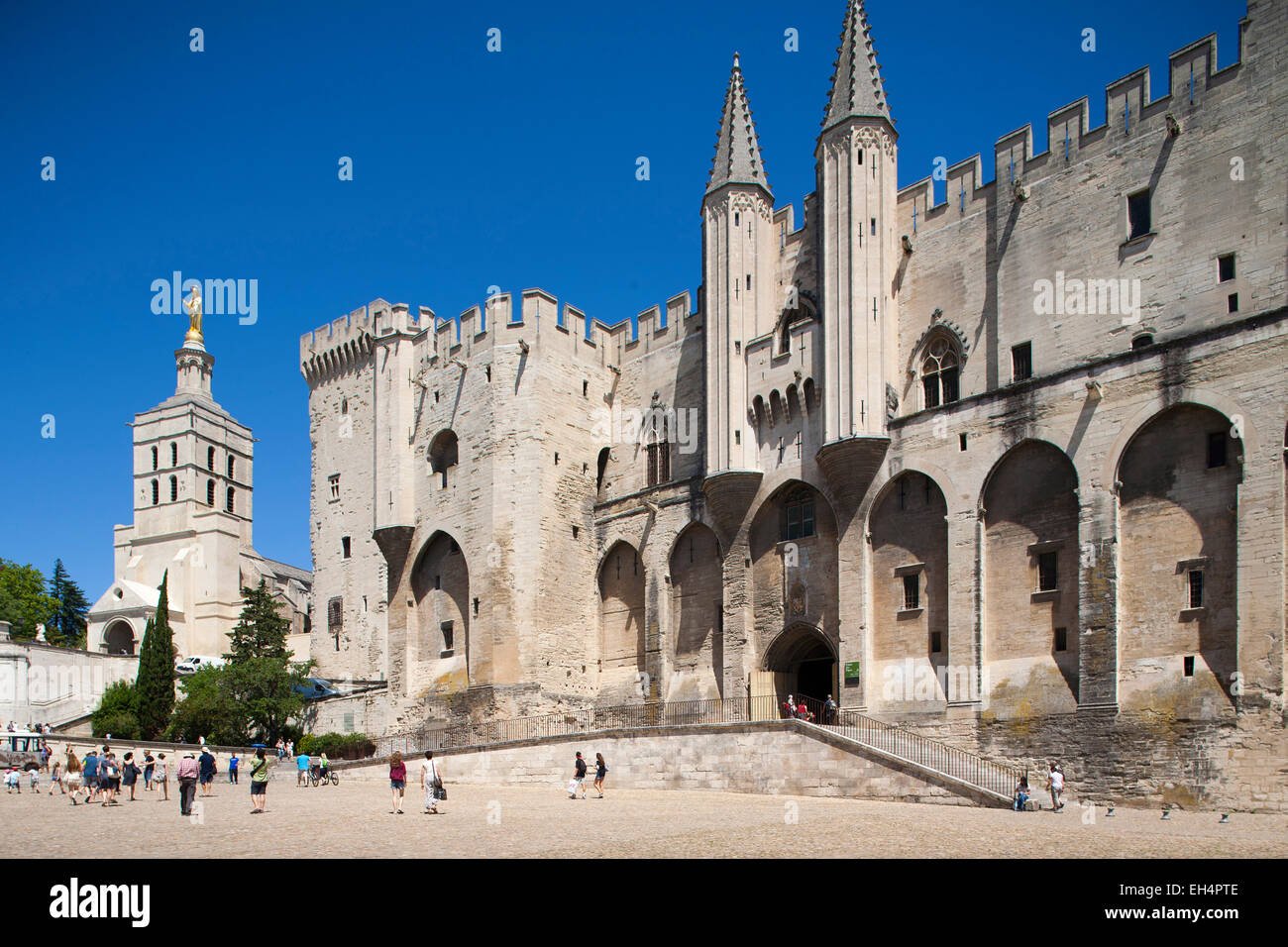 Palast der Päpste, Avignon, Provence, Frankreich, Europa Stockfoto