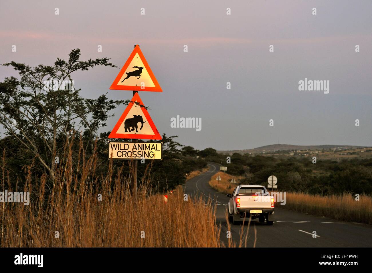 Südafrika, Kwazulu Natal, Hluhluwe-Imfolozi Nationalpark Stockfoto