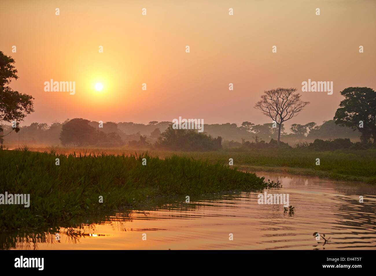 Brasilien, Mato Grosso, Pantanal-Region, Fluss Cuiaba, schwarzer Kanal, Sonnenaufgang Stockfoto