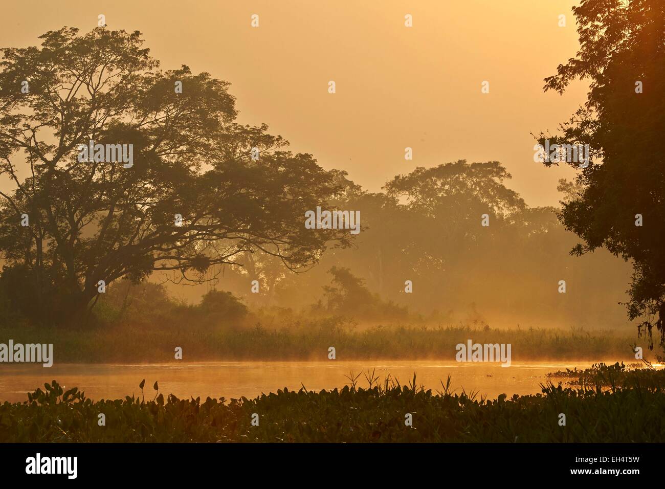 Brasilien, Mato Grosso, Pantanal-Region, Fluss Cuiaba, schwarzer Kanal, Sonnenaufgang Stockfoto