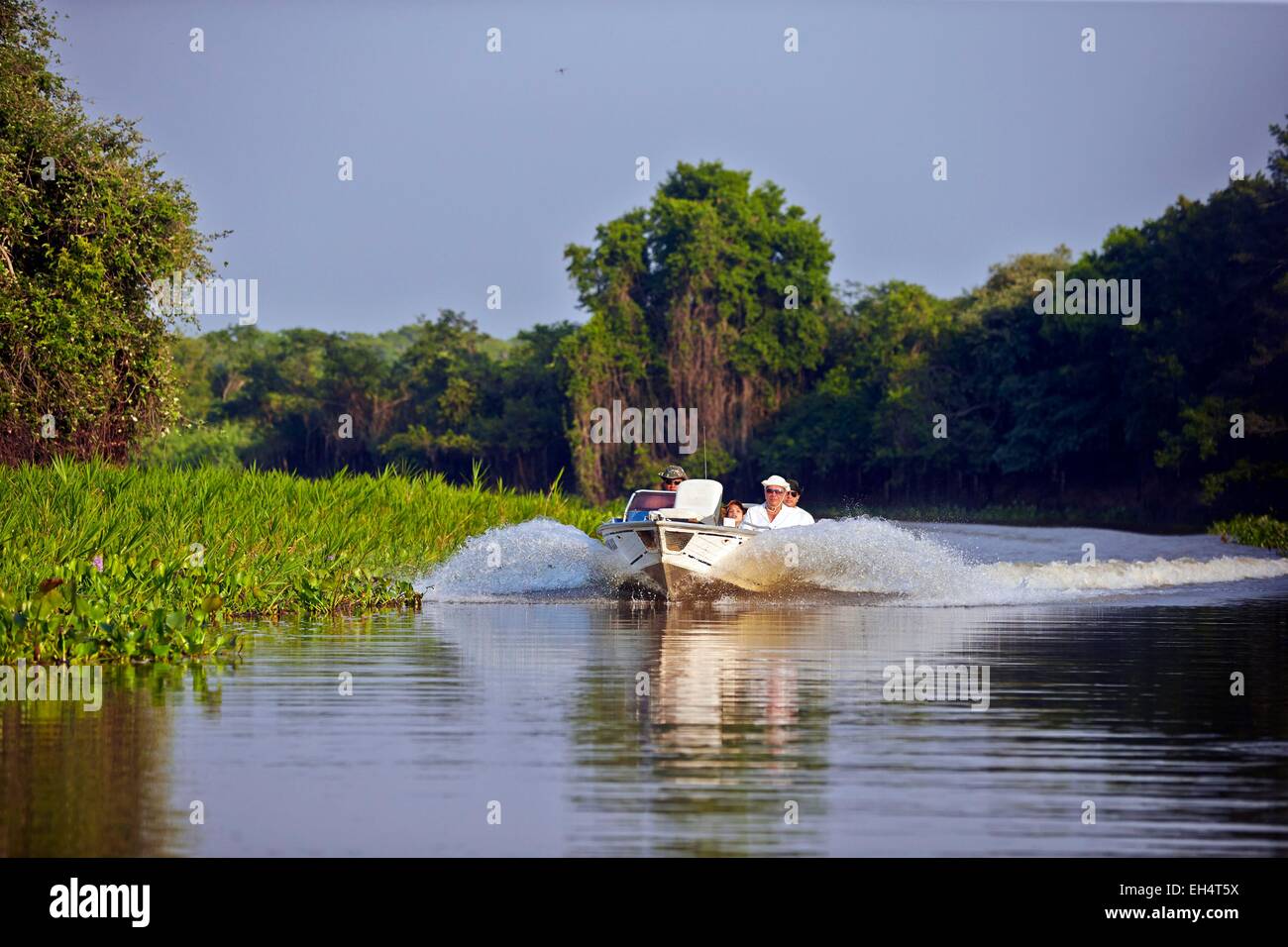 Brasilien, Mato Grosso, Pantanal-Region, Fluss Cuiaba, schwarzer Kanal, Boot mit Touristen auf der Suche nach jaguar Stockfoto