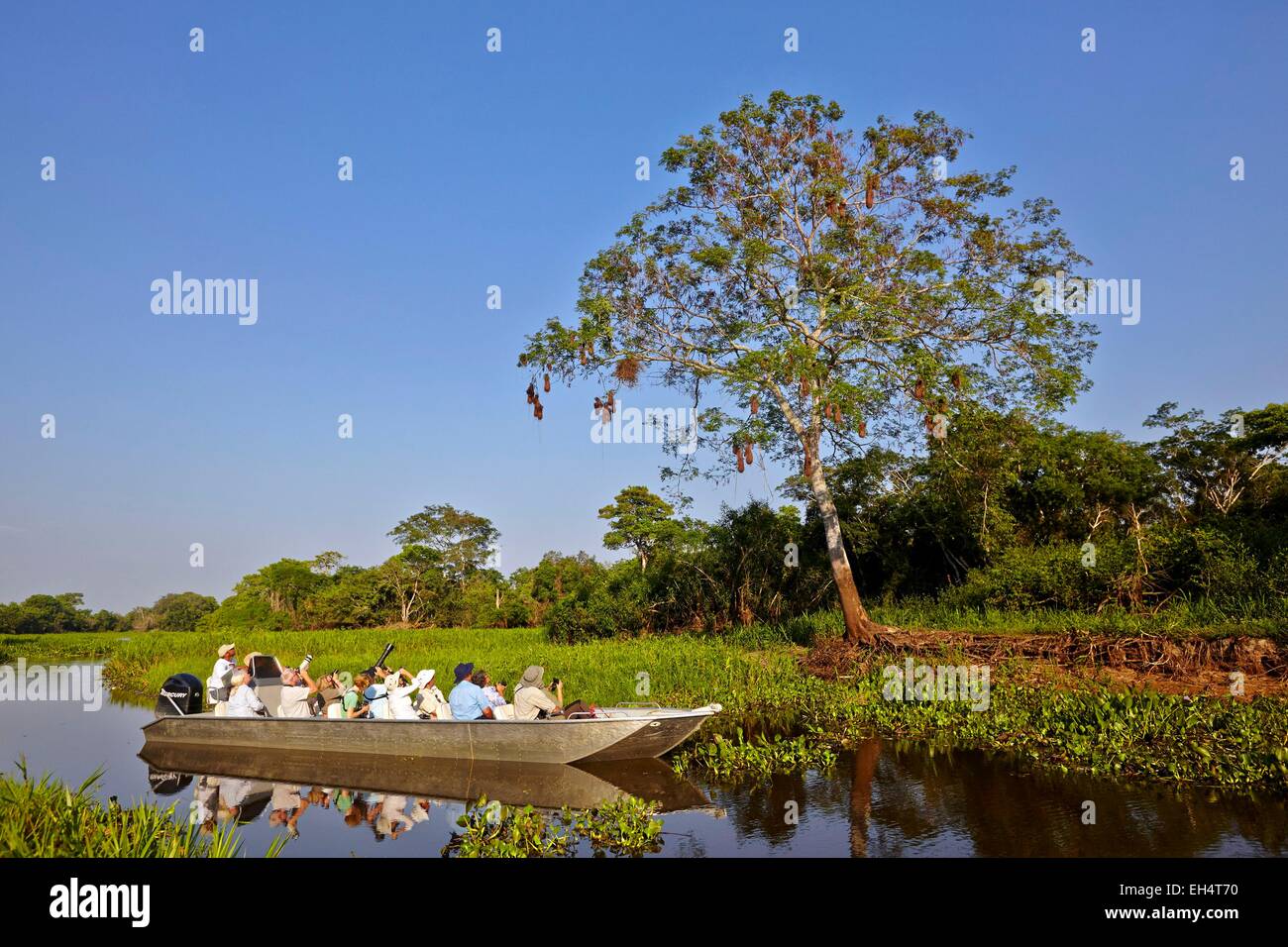 Brasilien, Mato Grosso, Pantanal-Region, Fluss Cuiaba, schwarzer Kanal, Boot mit Touristen auf der Suche nach jaguar Stockfoto