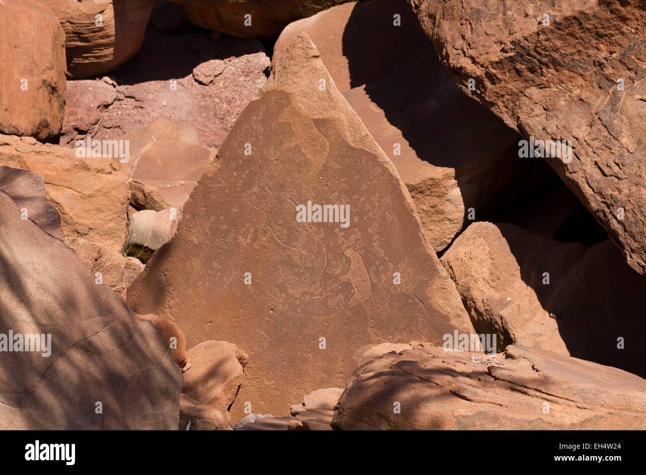 Namibia, Kunene Region Damaraland, Felszeichnungen von Twyfelfontein, als Weltkulturerbe der UNESCO gelistet Stockfoto