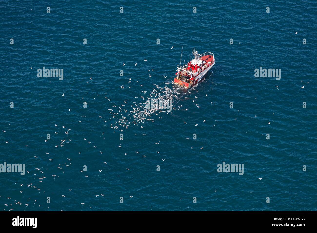 Frankreich, Gironde, Lacanau, Möwen nach einem Fischerboot (Luftbild) Stockfoto
