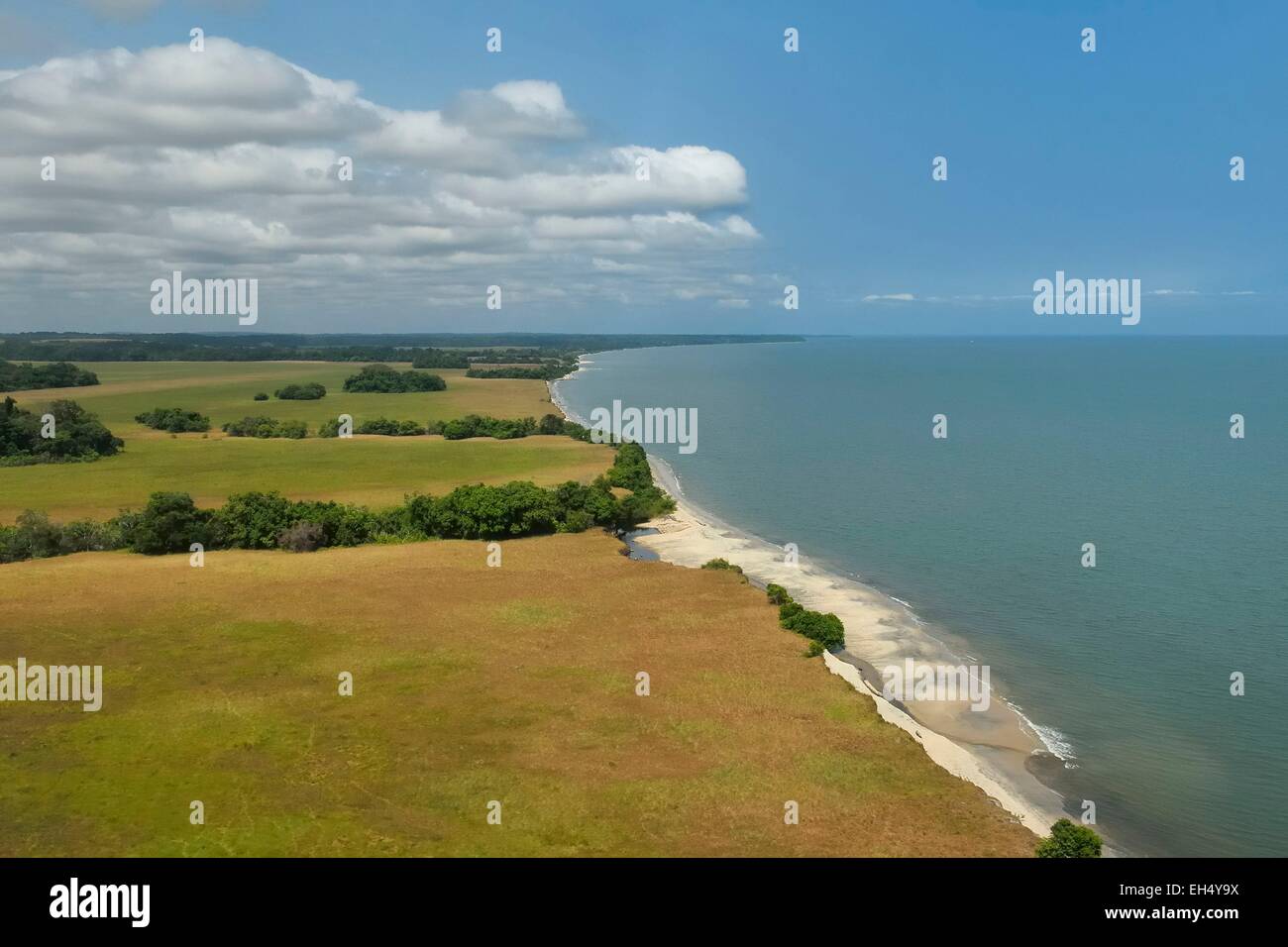 Gabun, Ogooue-Maritime Provinz, Wonga Wongue Nationalpark, Savannah in der Küstenzone (Luftbild) Stockfoto