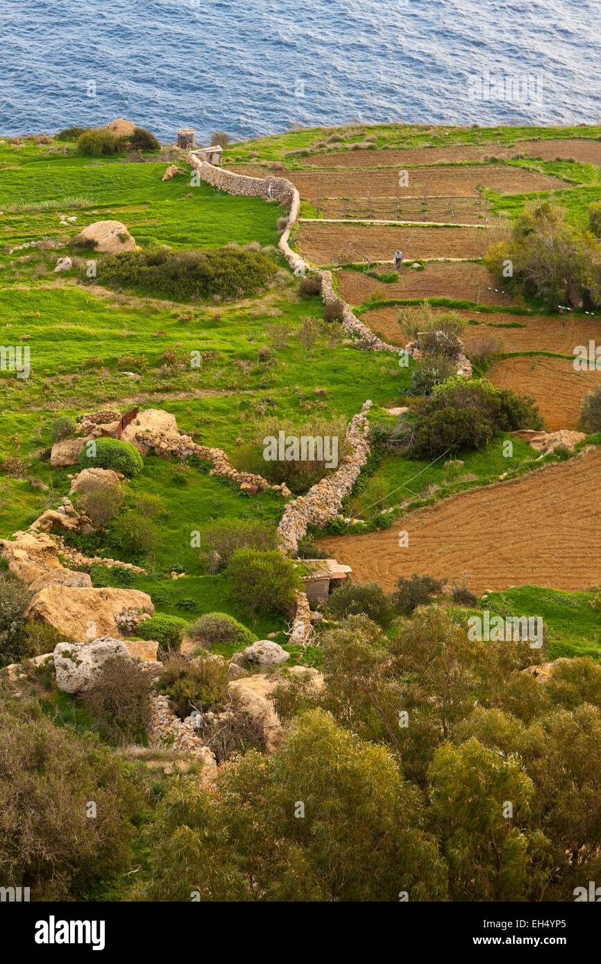 Malta, Dingli cliffs Stockfoto