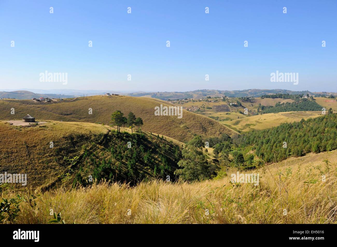 Südafrika, Kwazulu Natal, Eshowe, Zululand Stockfoto