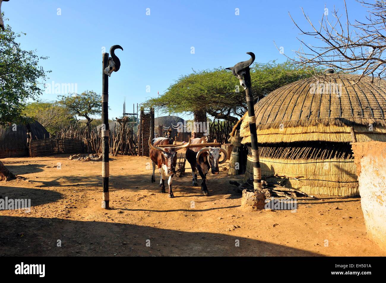 Südafrika, Kwazulu-Natal, Eshowe, Zululand Shakaland Stockfoto