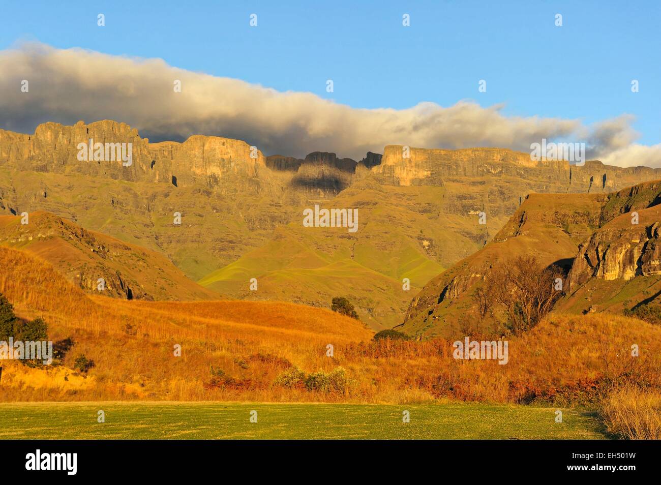 Südafrika, Kwazulu-Natal Drakensberge, uKhahlamba Park, Weltkulturerbe der UNESCO, Cathedral Peak Valley Stockfoto