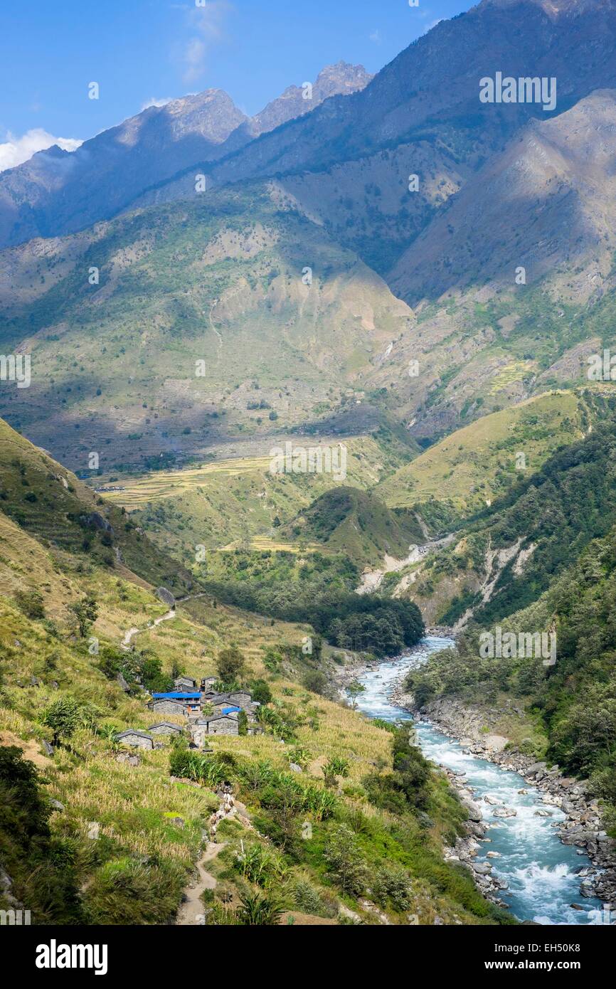 Nepal, Gandaki Zone, Manaslu Circuit zwischen Tatopani und Philim entlang des Budhi Gandaki Flusses Stockfoto