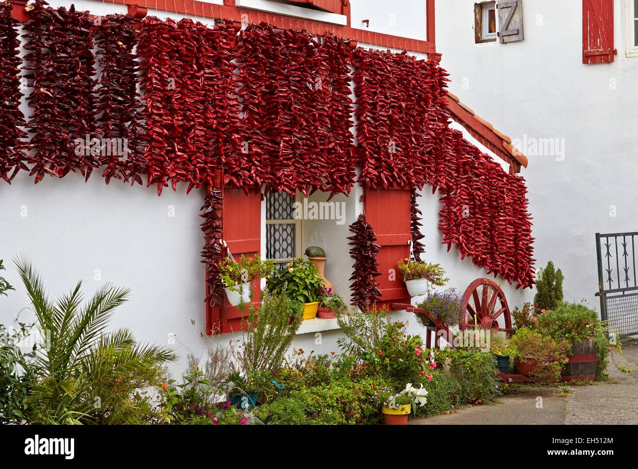 Frankreich, Pyrenees Atlantiques Baskenland, Espelette, Haufen von Paprika trocknen in der Sonne an der Fassade eines traditionellen baskischen Hauses Stockfoto