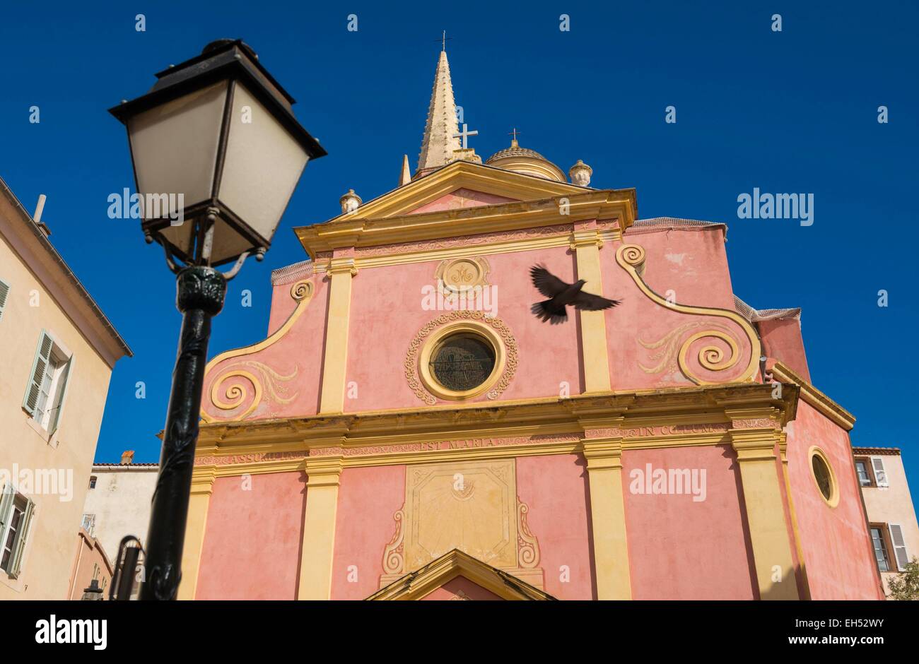 Frankreich, Haute Corse, Calvi, vor der Kirche Saint Marie Gewalt Stockfoto