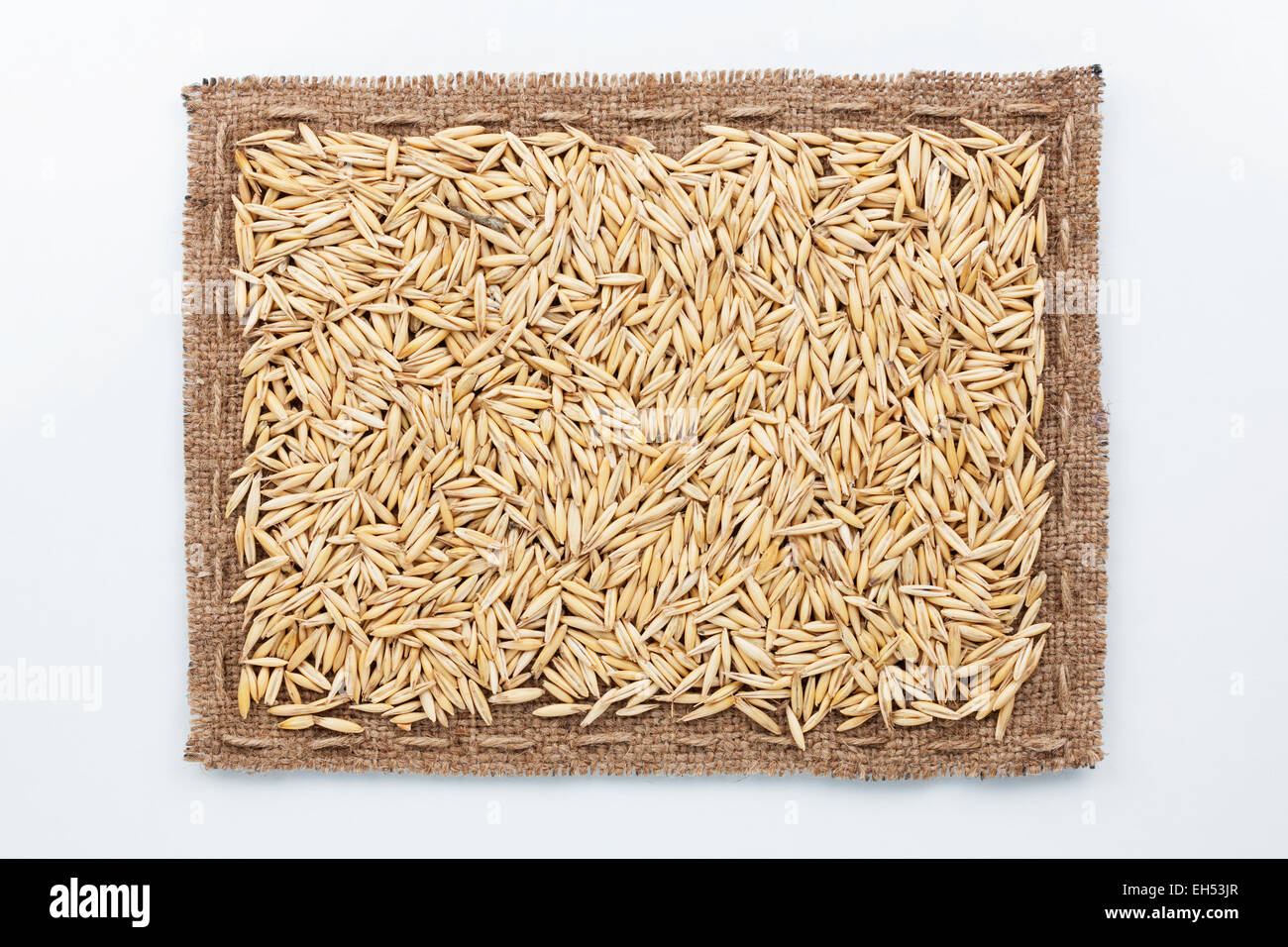 Rahmen aus Sackleinen und Hafer Korn, liegend auf einem weißen Hintergrund Stockfoto